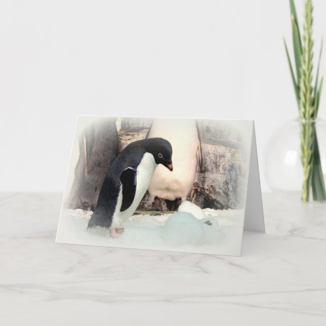 Tarjeta de Navidad de Pingüinos Peleando con Bolas (Anverso)
