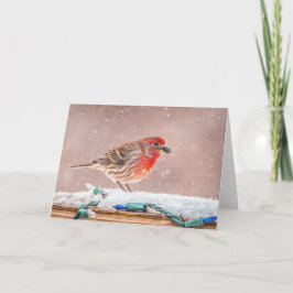 Tarjeta de Navidad de pinzón mexicano con semilla