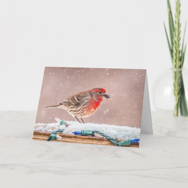 Tarjeta de Navidad de pinzón mexicano con semilla (Anverso)