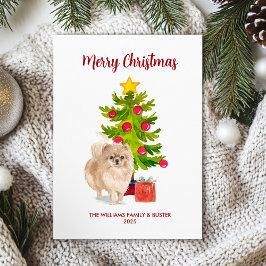 Tarjeta de Navidad de Pomerania