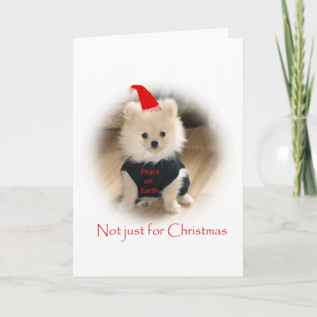 Tarjeta de Navidad de Pomeranian (Anverso)