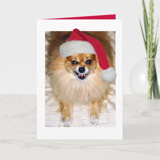 Tarjeta de Navidad de Pomeranian Santa (Anverso)