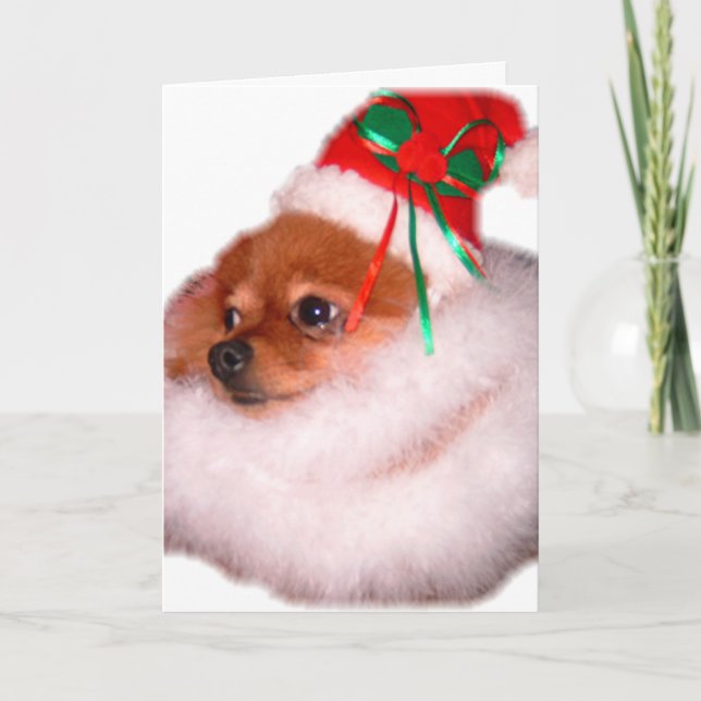 Tarjeta de Navidad de Pomeranian Santa (Anverso)