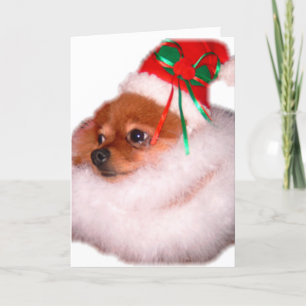 Tarjeta de Navidad de Pomeranian Santa