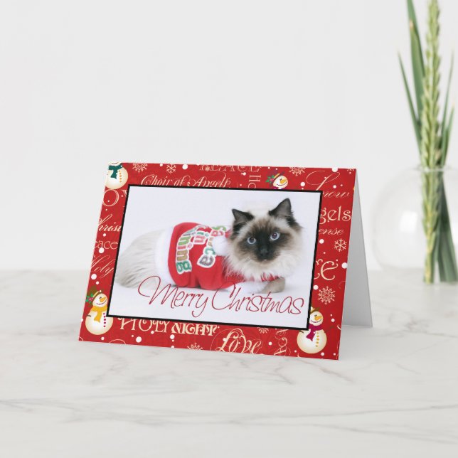 Tarjeta de Navidad de Ragdoll (Anverso)
