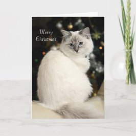 Tarjeta de Navidad de Ragdoll