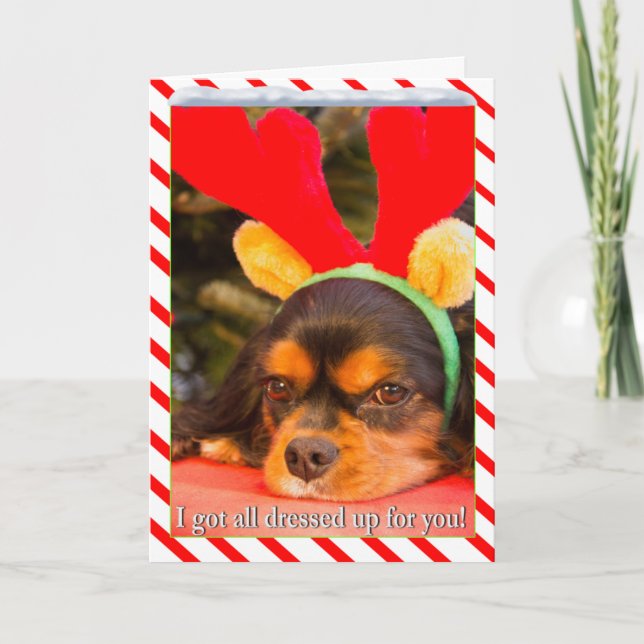 Tarjeta de Navidad de Reno con King Charles Spanie (Anverso)