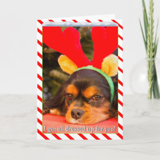 Tarjeta de Navidad de Reno con King Charles Spanie