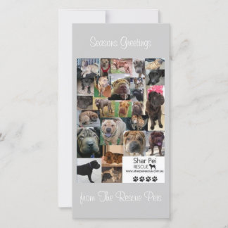 Tarjeta de navidad de rescate de Shar Pei