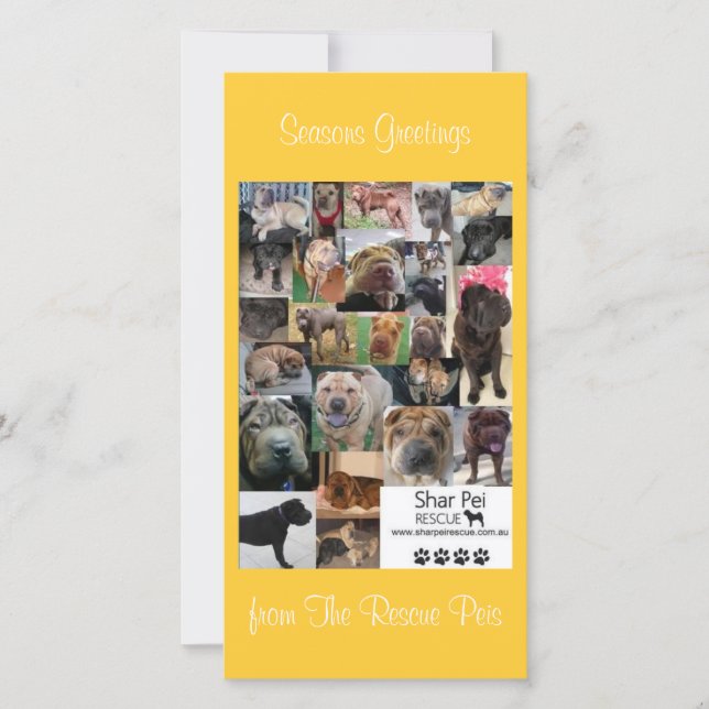 Tarjeta de navidad de rescate de Shar Pei (Anverso)