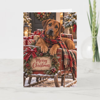 Tarjeta de Navidad de Rhodesian Ridgeback