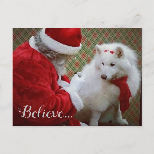Tarjeta de Navidad de Samoyed y Santa (Anverso)