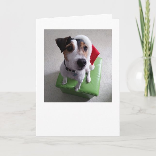 Tarjeta de Navidad de Santa Jack Russell Terrier (Anverso)