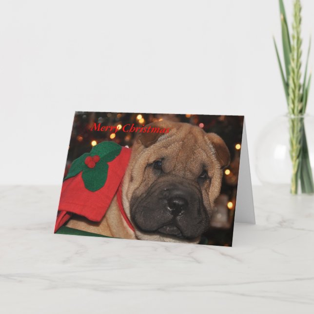 Tarjeta de Navidad de Sharpei (Anverso)