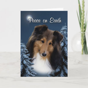 Tarjeta de Navidad de Sheltie de la paz