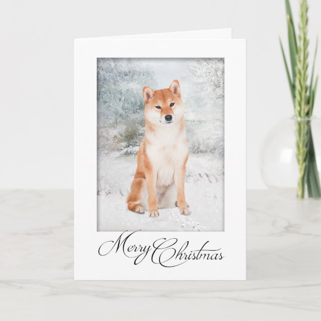 Tarjeta de Navidad de Shiba Inu (Anverso)