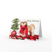 Tarjeta de Navidad de Shih Tzu (capa acortada)