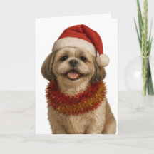 Tarjeta de Navidad de Shih Tzu con gorro de Santa