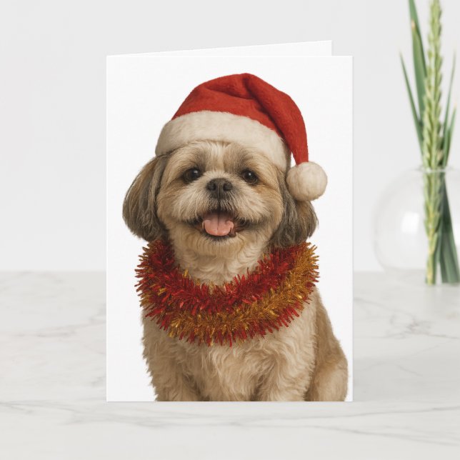 Tarjeta de Navidad de Shih Tzu con gorro de Santa (Anverso)