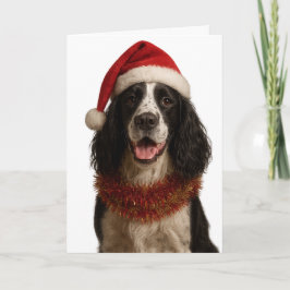Tarjeta de Navidad de Springer Spaniel en blanco y