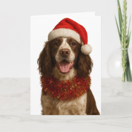 Tarjeta de Navidad de Springer Spaniel marrón y bl