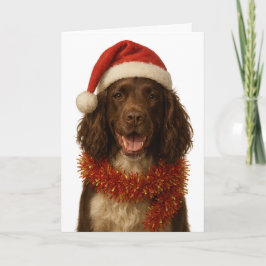 Tarjeta de Navidad de Sprocker Spaniel marrón y bl