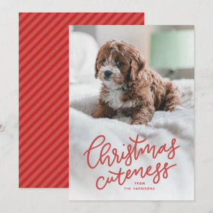 Tarjeta de Navidad de ternura navideña con mascota