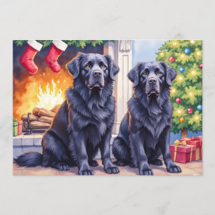 Tarjeta de Navidad de Terranova
