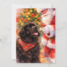 Tarjeta de Navidad de Terranova - Con Santa