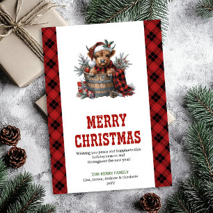 Tarjeta de Navidad de vaca de las Highlands con po