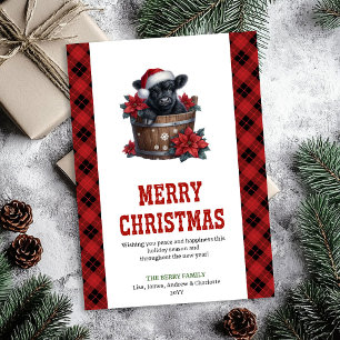 Tarjeta de Navidad de vaca de las tierras altas el