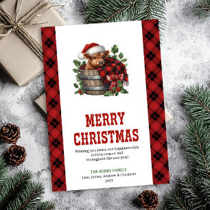 Tarjeta de Navidad de vaca de las tierras altas vi