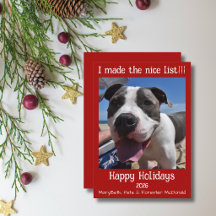 Tarjeta de Navidad de vacaciones de mascota lista 