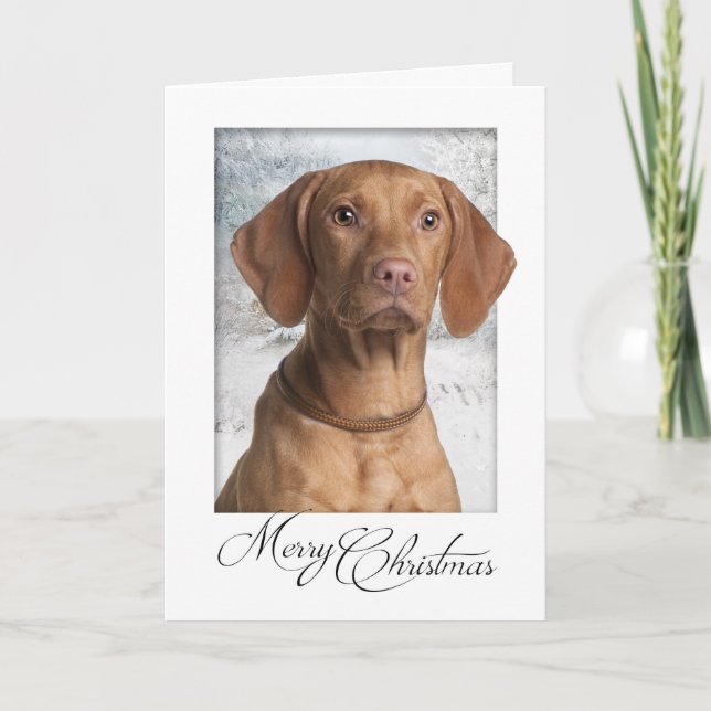 Tarjeta de Navidad de Vizsla (Anverso)
