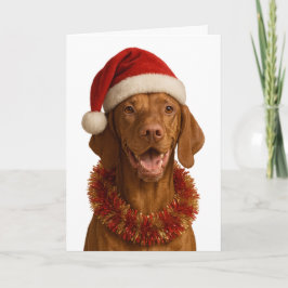 Tarjeta de Navidad de Vizsla con gorro de Santa