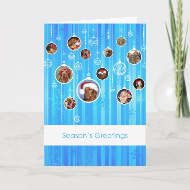 Tarjeta de Navidad de Vizsla del húngaro 009 (Anverso)