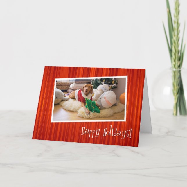 Tarjeta de Navidad de Vizsla del húngaro 010 (Anverso)