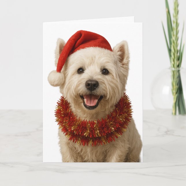 Tarjeta de Navidad de West Highland Terrier (Anverso)