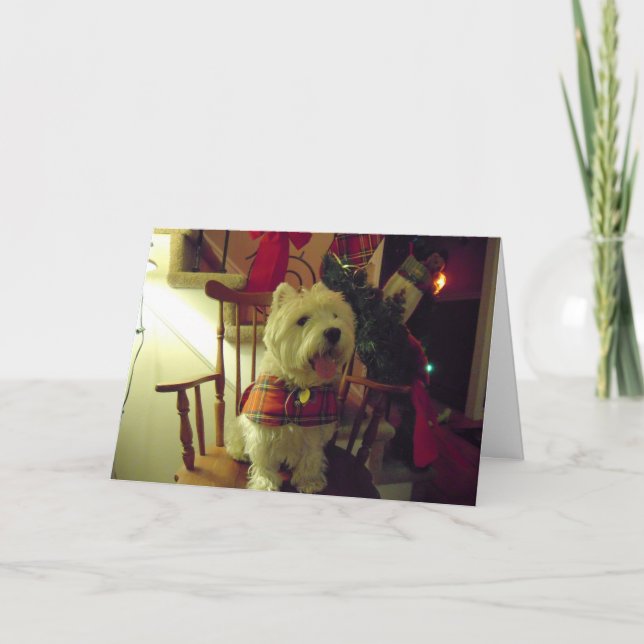 Tarjeta de Navidad de Westie (Anverso)