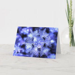 Tarjeta de Navidad de Winterborn