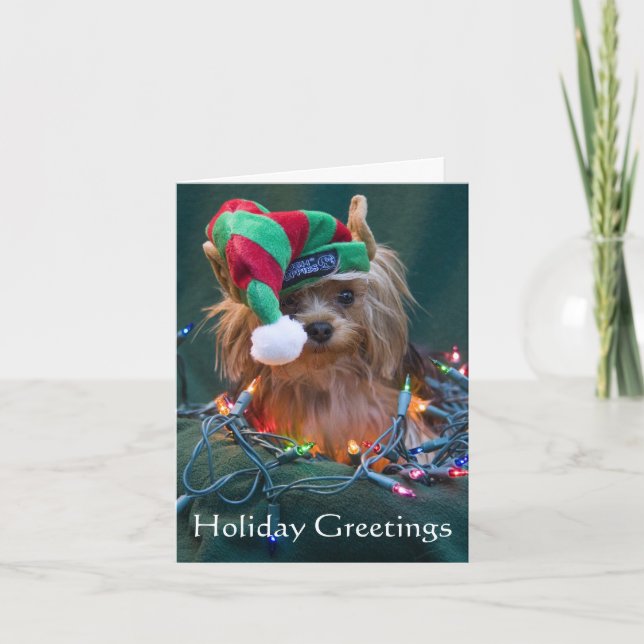 Tarjeta de Navidad de Yorkie (Anverso)