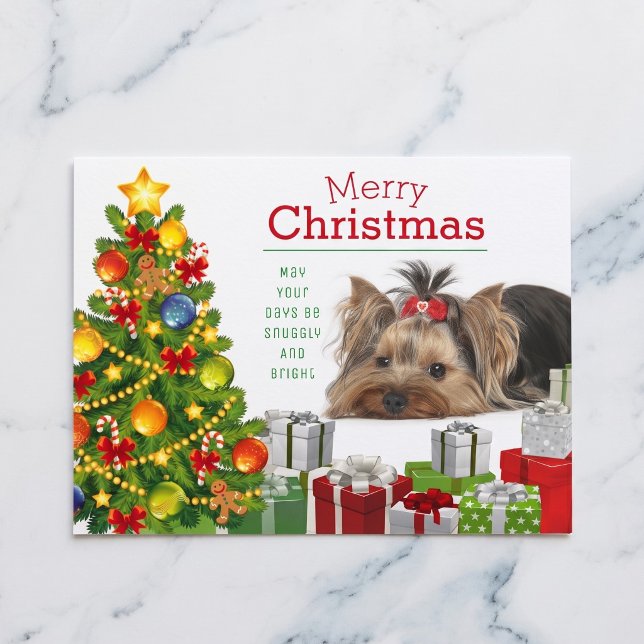 Tarjeta de Navidad de Yorkshire Terrier (Yorkshire Terriers make the season bright.)