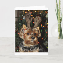 Tarjeta de Navidad de Yorkshire Terrier