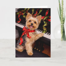 Tarjeta de Navidad de Yorkshire Terrier con Piano