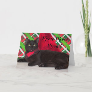 Tarjeta de Navidad del amante del gato