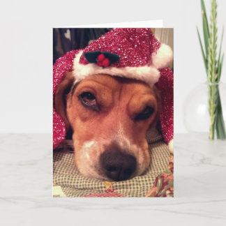 Tarjeta de Navidad del beagle