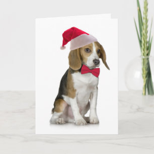Tarjeta de Navidad del beagle de Santa