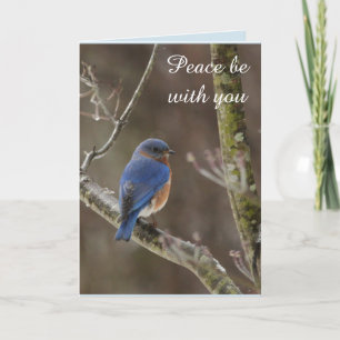 Tarjeta de Navidad del Bluebird