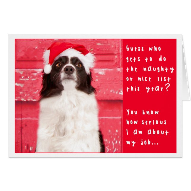 Tarjeta de Navidad del border collie (Anverso (Horizontal))