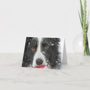 Tarjeta de Navidad del border collie